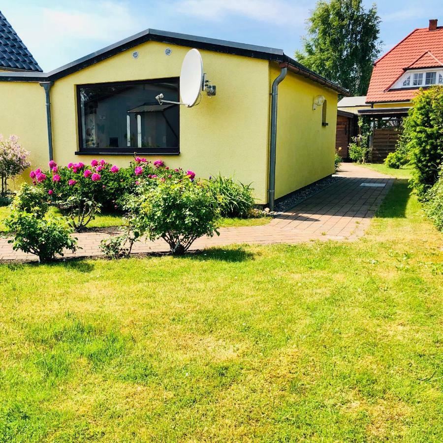 little Rosé Villa Zingst Exterior foto