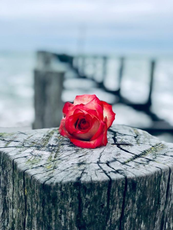 little Rosé Villa Zingst Exterior foto